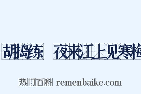 胡捣练·夜来江上见寒梅是什么意思的图片